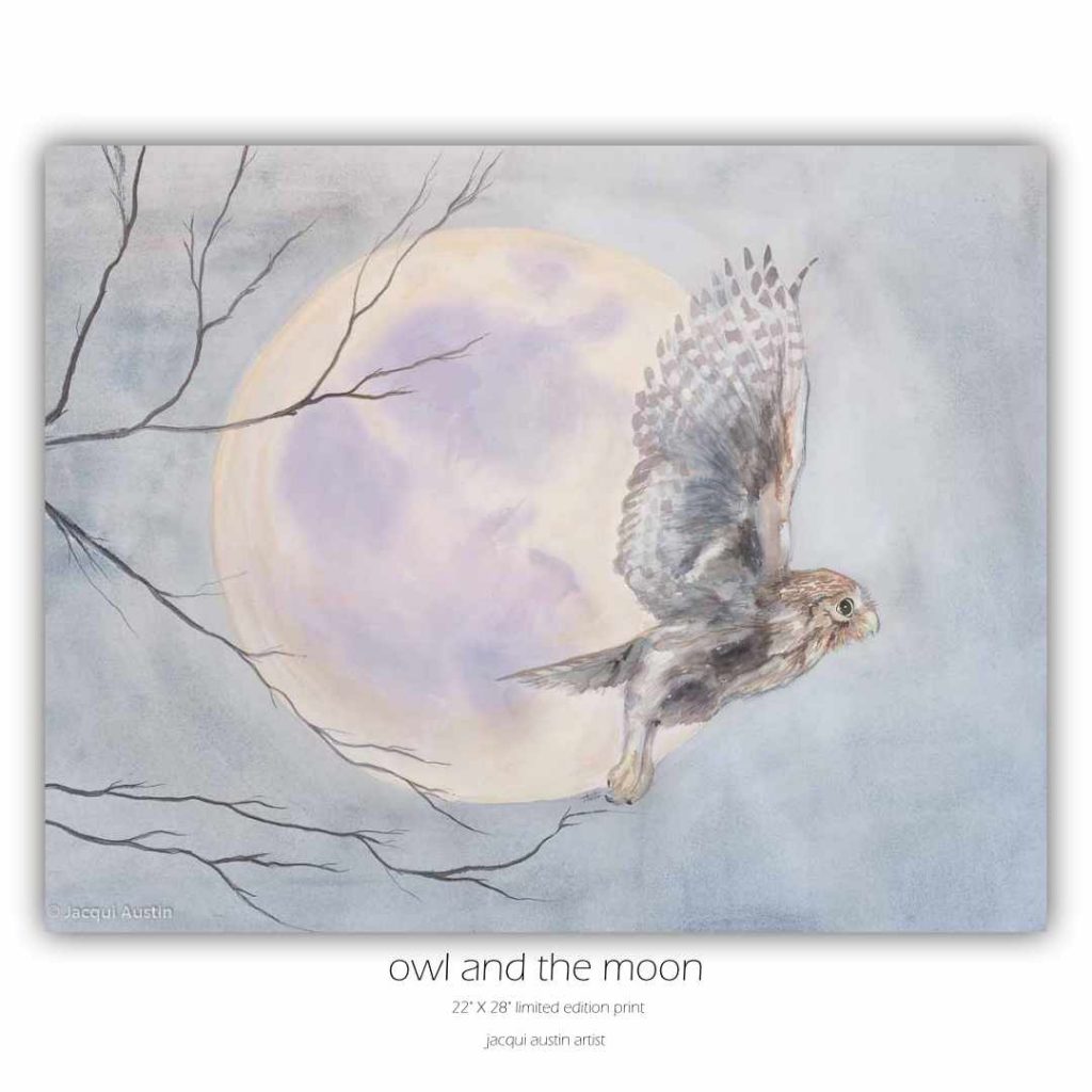 owl and the moon