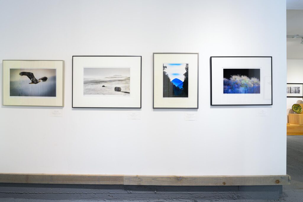 art display at Art in Art In The Barn Gallery