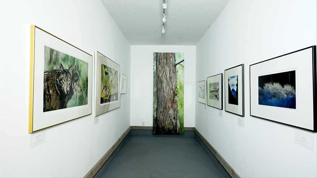 art display at Art in Art In The Barn Gallery