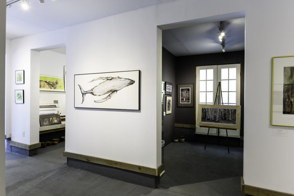 view of art display at Art in Art In The Barn Gallery