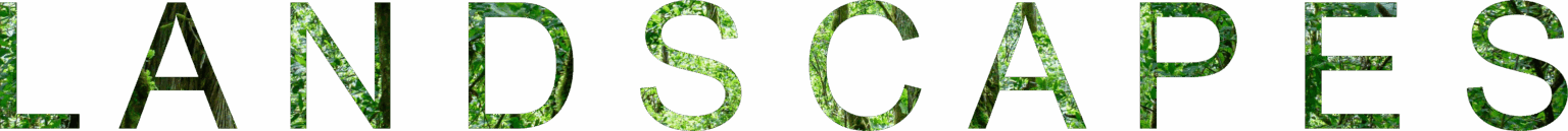 landscape heading Art In The Barn Gallery