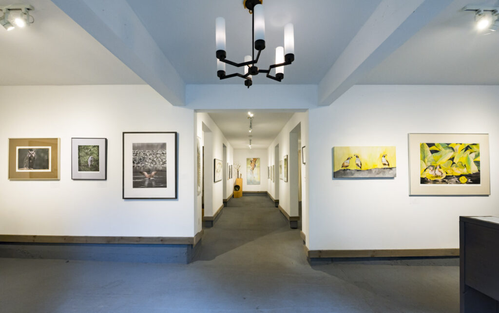 main view Art In The Barn Gallery