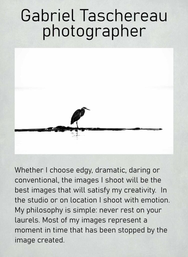 Gabriel Taschereau statement