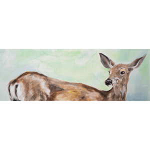 DEER BACK