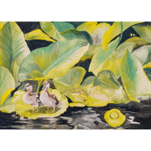 DUCKLINGS