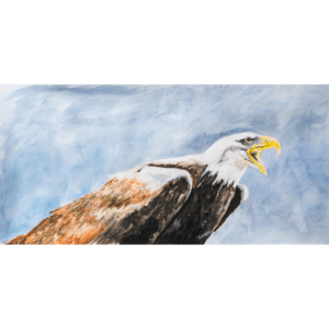 EAGLE BACK