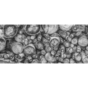 CORD OF WOOD 15"H X 34"W, Photography Print By Gabriel Taschereau